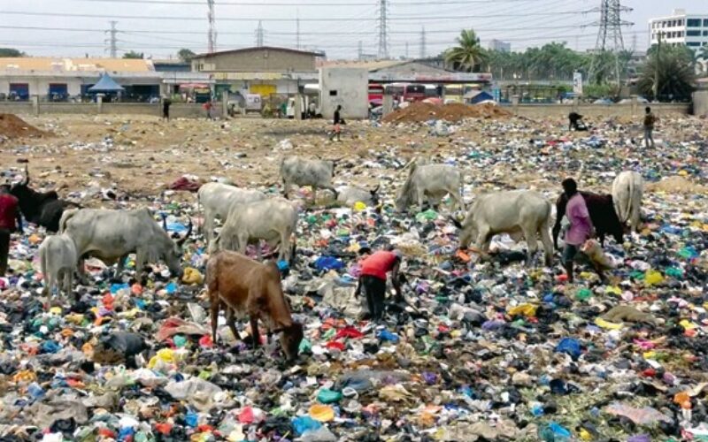 Wysypisko niechcianej elektroniki