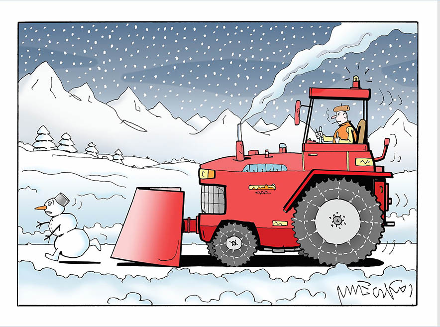 Rysunek A. Mleczki z PRZEGLĄDU nr 3/2026