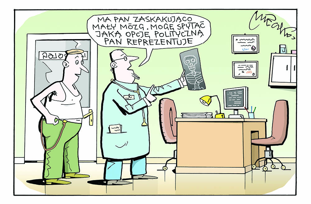 Rysunek A. Mleczki z PRZEGLĄDU nr 4/2026