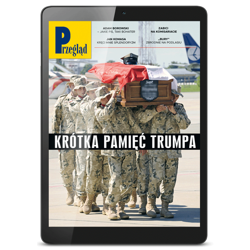 e-PRZEGLĄD nr 6/2026