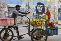 Godot w&nbsp;tropikach