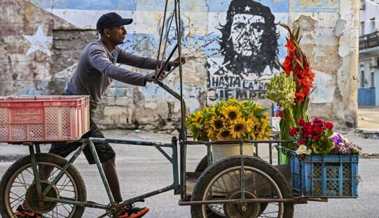 Godot w&nbsp;tropikach