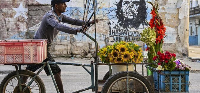 Godot w&nbsp;tropikach