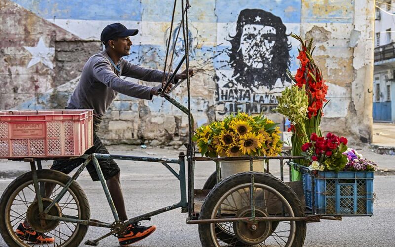 Godot w&nbsp;tropikach