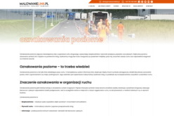 Oznakowanie poziome na&nbsp;parkingu – jakie linie i&nbsp;symbole są&nbsp;obowiązkowe według przepisów?