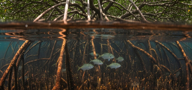 Namorzyny w&nbsp;tarapatach