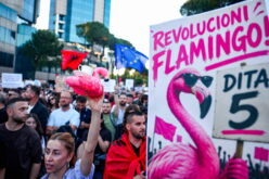 Kogo przegna rewolucja flamingów