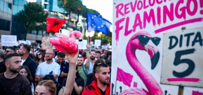 Kogo przegna rewolucja flamingów