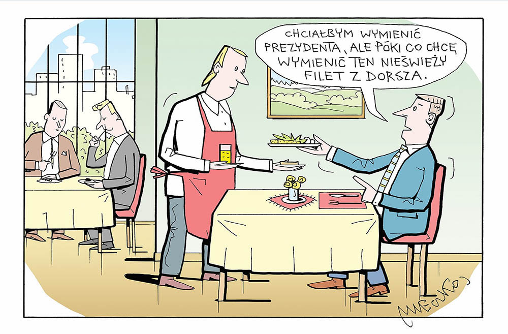Rysunek A. Mleczki z PRZEGLĄDU nr 26/2026