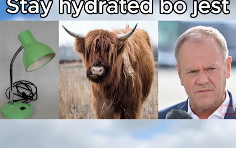 Z&nbsp;wieców na&nbsp;TikToka